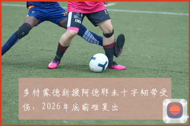 多特蒙德新援阿德耶米十字韧带受伤，2026年底前难复出